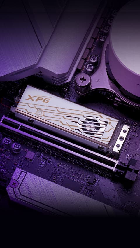 SSD Hero Slide